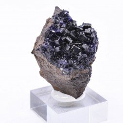 Fluorine antozonite - Mine Ojuela, Mapimi, Durango, Mexique