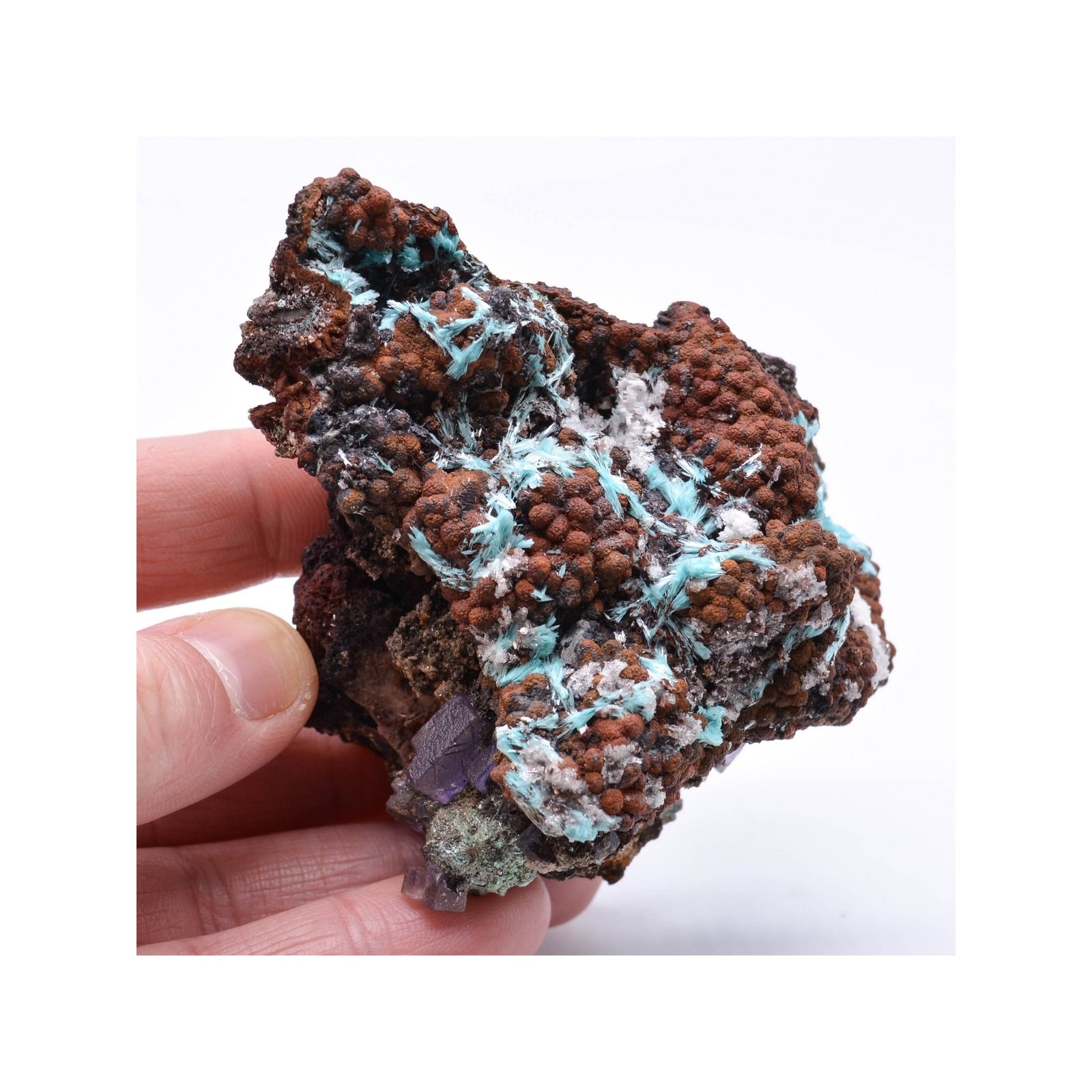Aurichalcite, fluorine, goethite - Mine Ojuela, Mapimi, Durango, Mexique