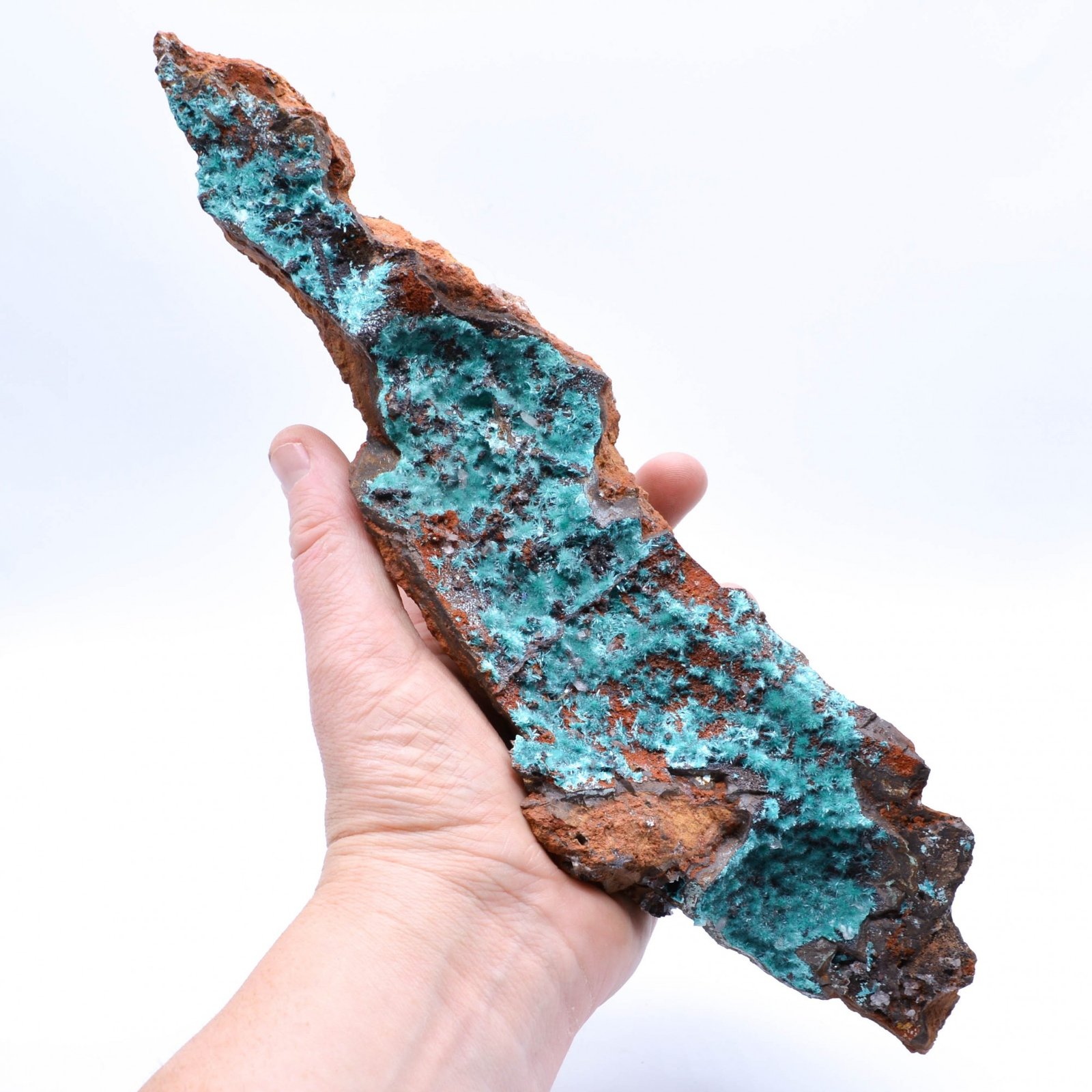 Aurichalcite - Mine Ojuela, Mapimi, Durango, Mexique