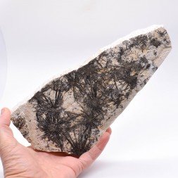 Tourmaline - Loqueffret, Finistère, France