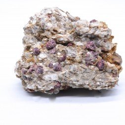 Garnet and muscovite - Elliant, Finistère, France