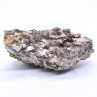 Grenat et muscovite - Elliant, Finistère, France
