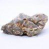 Apatite sur quartz - La Villeder, Morbihan, France