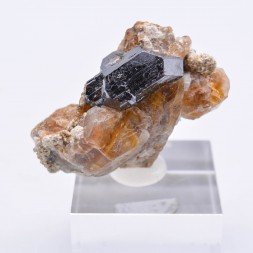 Rutile on quartz - Kapudzhukh mount, Azerbaïdjan