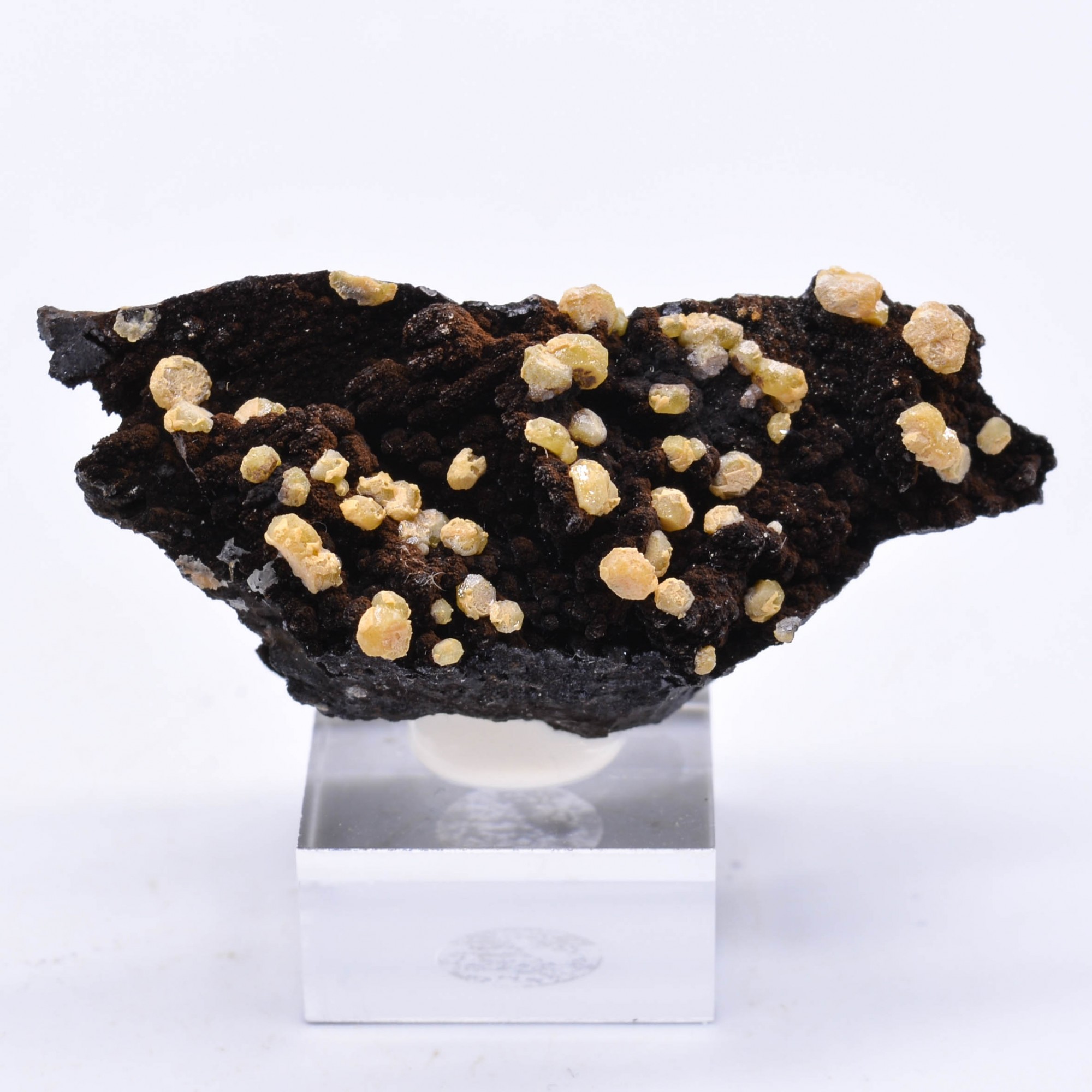 Vanadinite on goethite - Taouz, Morocco