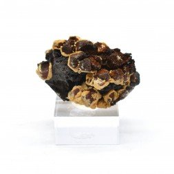 Vanadinite and goethite - Taouz, Morocco