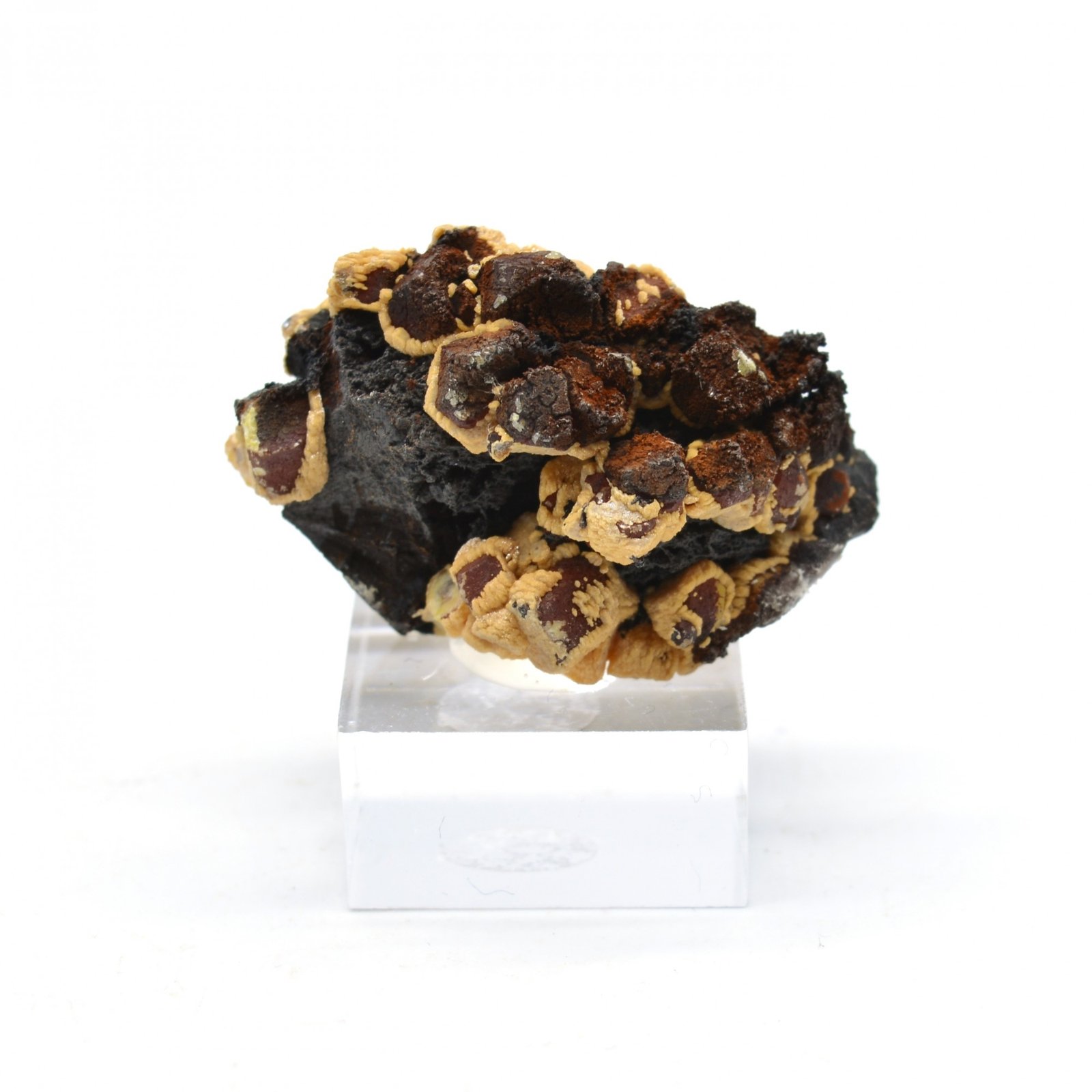 Vanadinite et goethite - Taouz, Maroc