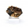 Vanadinite et goethite - Taouz, Maroc