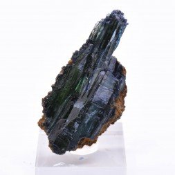 Vivianite - Cabeza Do Cacchoro mine, Amazonas, Brazil