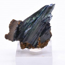 Vivianite - Mine Cabeza Do Cacchoro, Etat d'Amazonas, Brésil