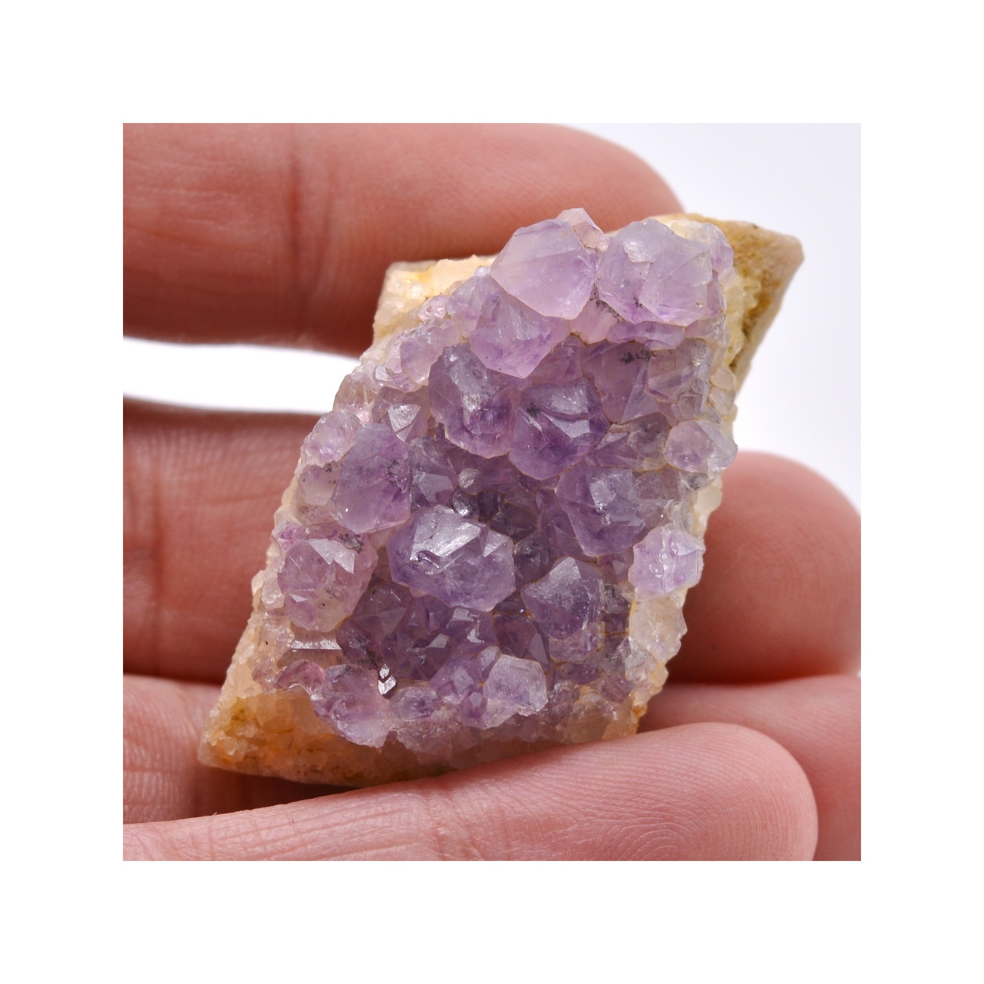 Amethyst - Pommerit-Jaudy, Côtes-d'Armor, France