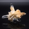 Gypsum - Angervilliers, Essonne, France