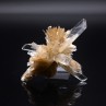 Gypsum - Angervilliers, Essonne, France