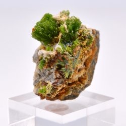 Pyromorphite - Saint-Salvy-de-la-Balme, Tarn, France