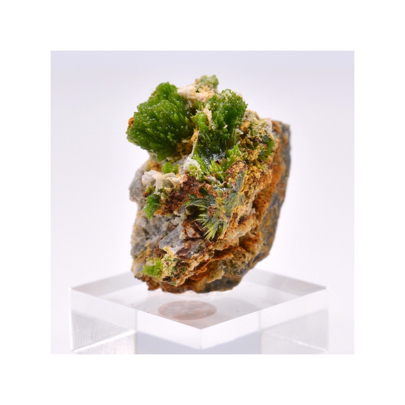 Pyromorphite - Saint-Salvy-de-la-Balme, Tarn, France