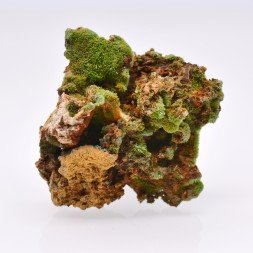 Pyromorphite - Saint-Salvy-de-la-Balme, Tarn, France