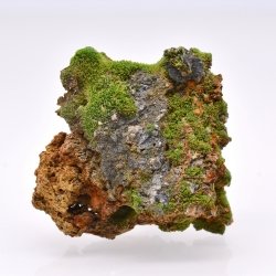 Pyromorphite - Saint-Salvy-de-la-Balme, Tarn, France