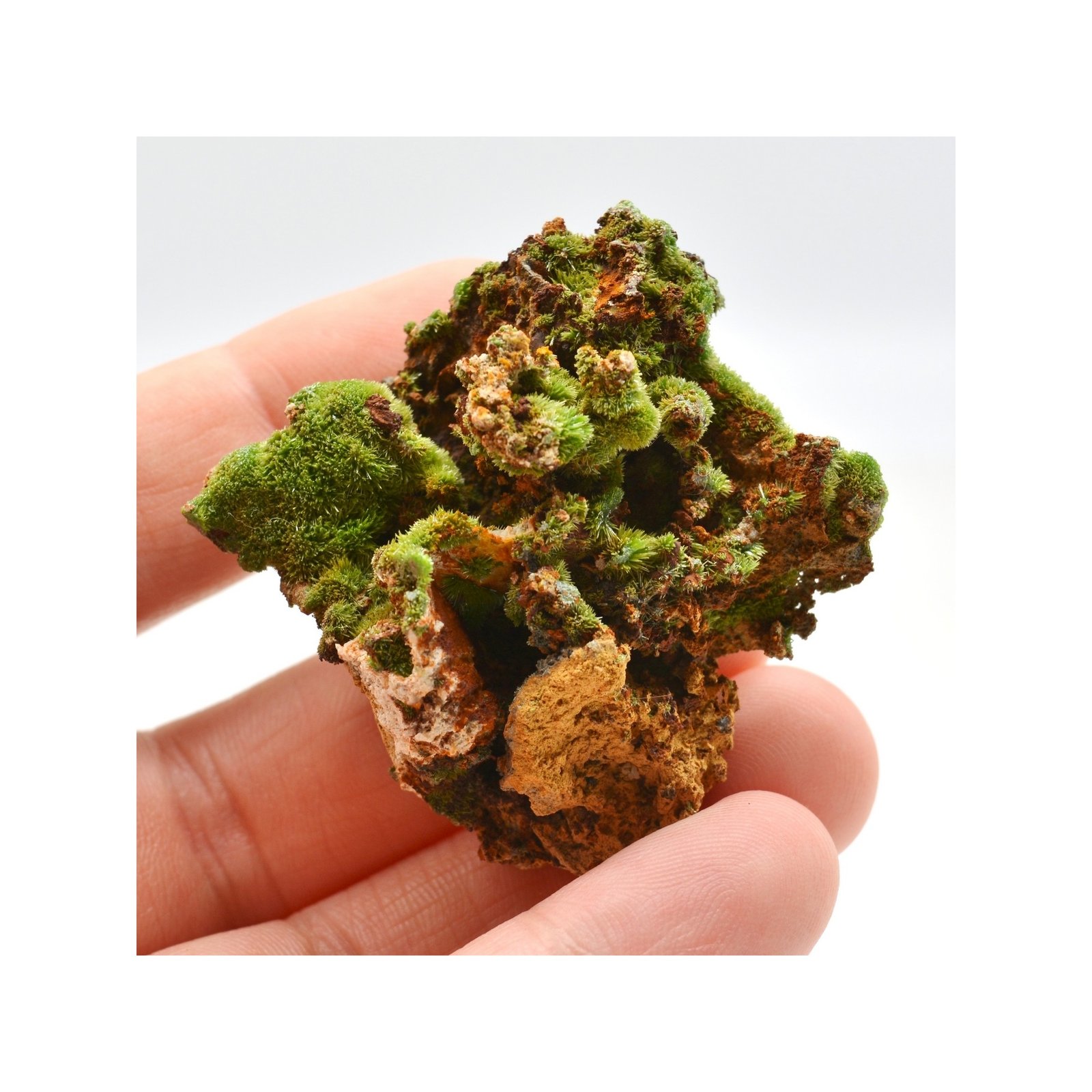 Pyromorphite - Saint-Salvy-de-la-Balme, Tarn, France