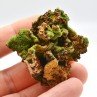 Pyromorphite - Saint-Salvy-de-la-Balme, Tarn, France