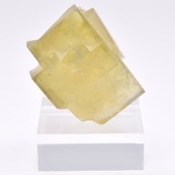 Fluorite - Marsanges, Langeac, Haute-Loire, France