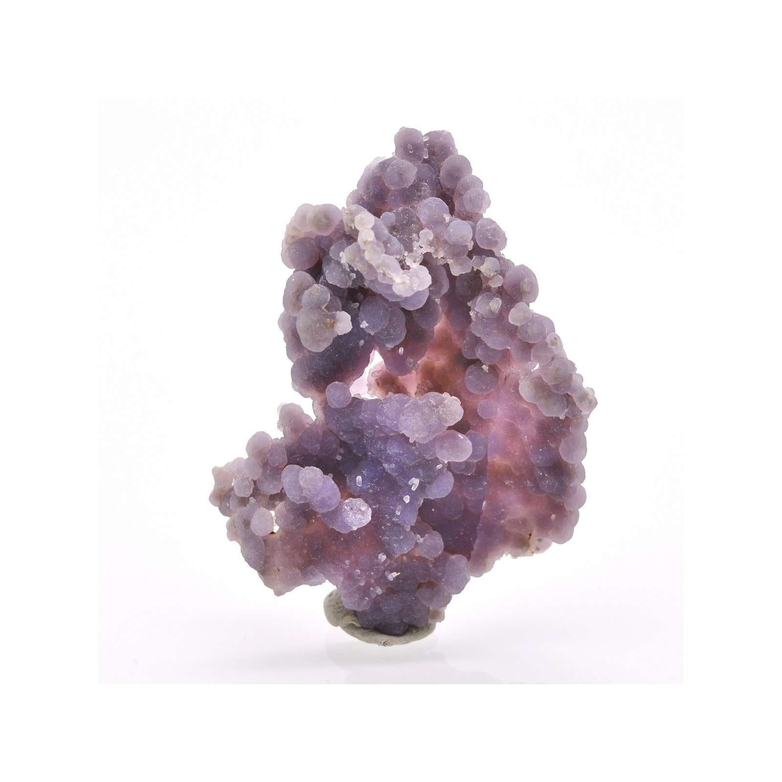 Amethyst- Mamuju, île Célèbes, Indonesia