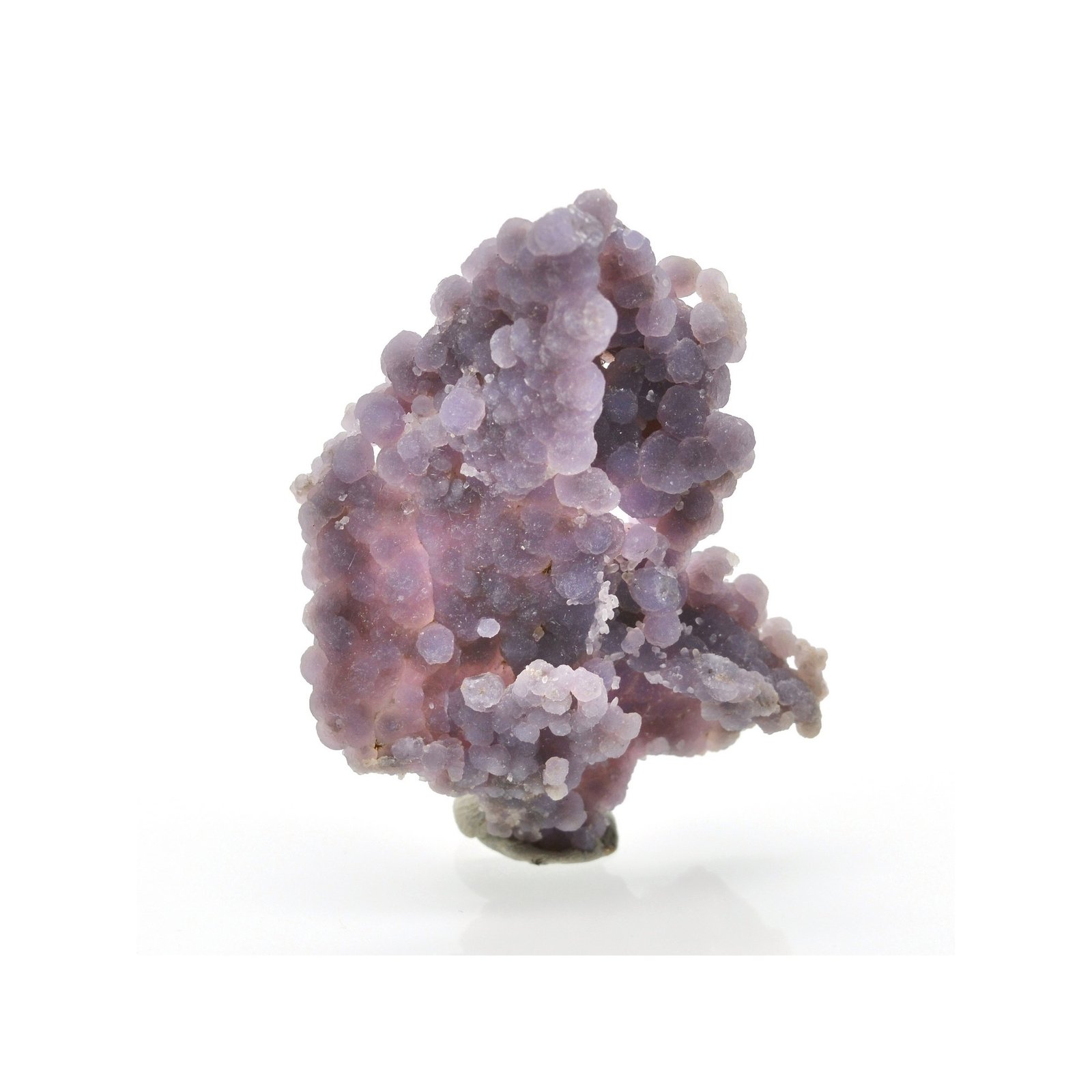 Amethyst- Mamuju, île Célèbes, Indonesia