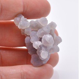 Quartz ( calcédoine grappe ) - Mamuju, île Célèbes, Indonésie