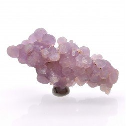 Améthyste ( calcédoine grappe ) - Mamuju, île Célèbes, Indonésie