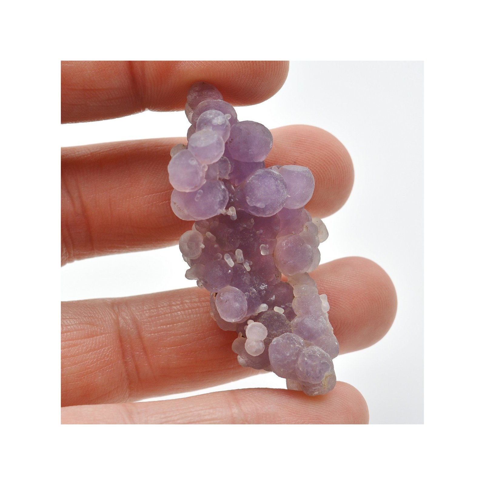 Amethyst - Mamuju, île Célèbes, Indonesia