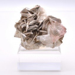 Fluorine et muscovite - Chumar Bakhoor, Nagar, Gilgit-Baltistan, Pakistan