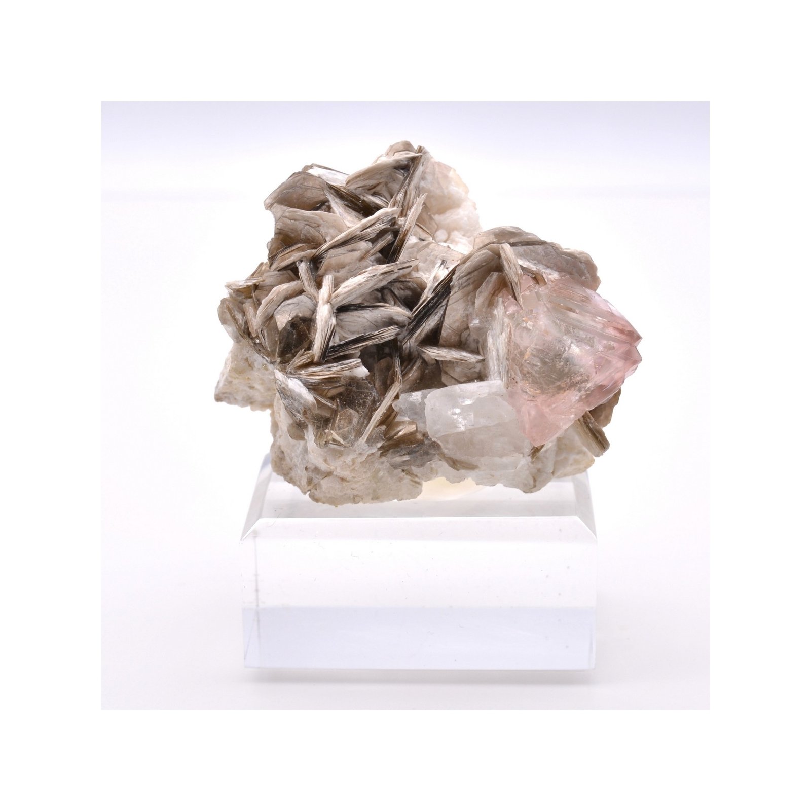 Fluorite et muscovite - Chumar Bakhoor, Nagar, Gilgit-Baltistan, Pakistan