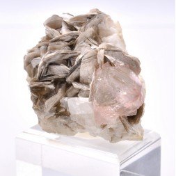 Fluorite et muscovite - Chumar Bakhoor, Nagar, Gilgit-Baltistan, Pakistan