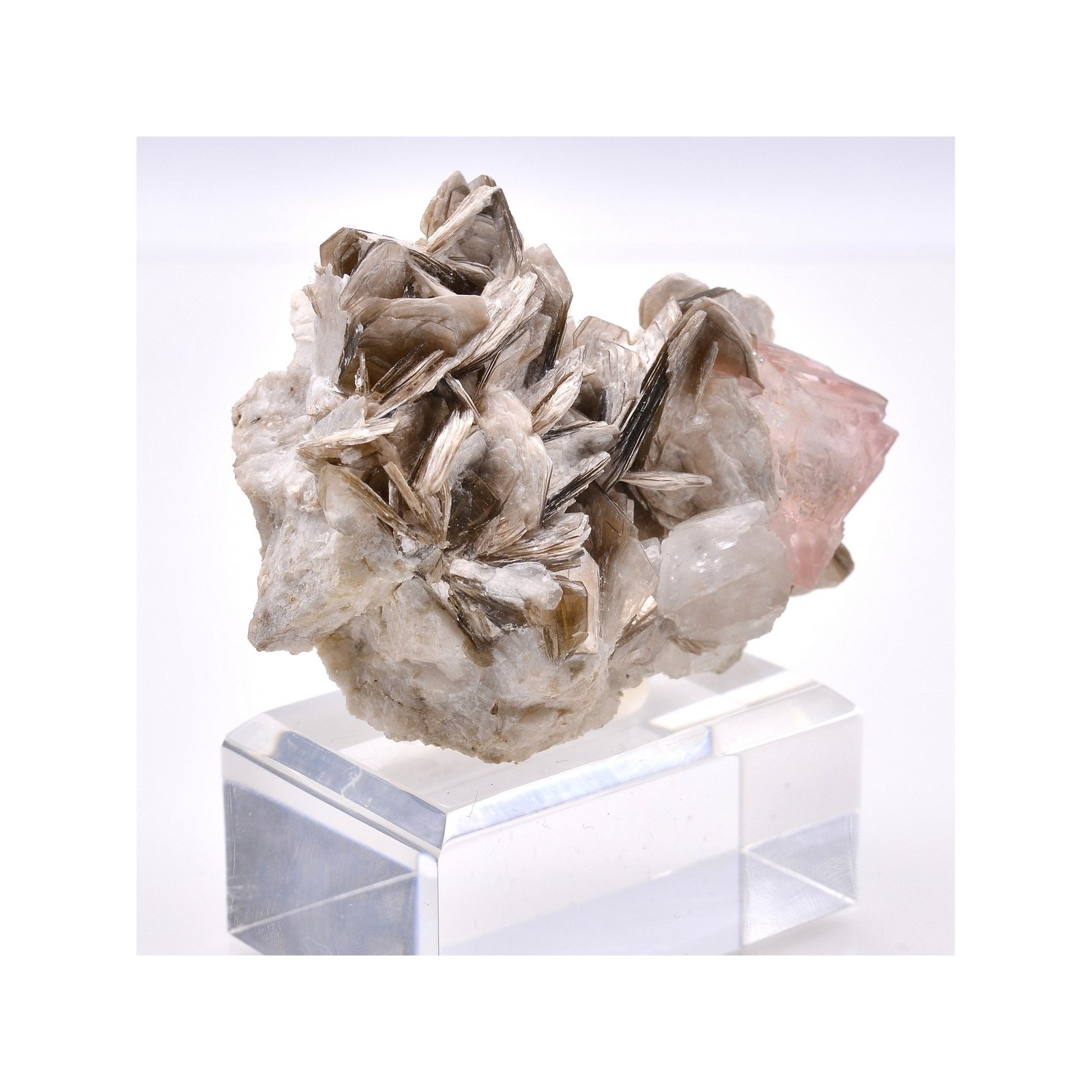 Fluorite et muscovite - Chumar Bakhoor, Nagar, Gilgit-Baltistan, Pakistan