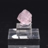 Pink Apatite - La Marina Mine, Pauna, Boyaca, Colombia