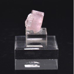 Pink Apatite - La Marina Mine, Pauna, Boyaca, Colombia