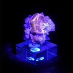 Apatite - Mine Sapo, Minas Gerais, Brésil