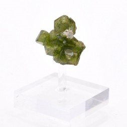 Tourmaline var. Uvite - District de Brumado, Bahia, Brésil