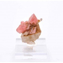 Rhodochrosite - Uchucchacua mine, Lima, Peru