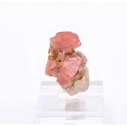 Rhodochrosite - Uchucchacua mine, Lima, Peru