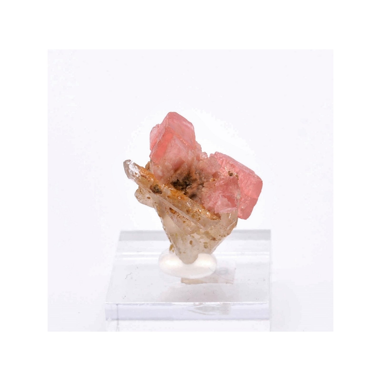 Rhodochrosite - Mine Uchucchacua, Lima, Pérou