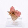 Rhodochrosite - Mine Uchucchacua, Lima, Pérou