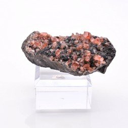 Rhodochrosite - Mine Uchucchacua, Lima, Pérou