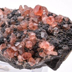 Rhodochrosite - Mine Uchucchacua, Lima, Pérou