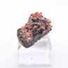 Rhodochrosite - Mine Uchucchacua, Lima, Pérou