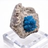 Cavansite on heulandite - Wagholi quarries, Poona, India