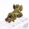 Pyromorphite - Mine Daoping, Gongchen, Guilin, Guangxi, Chine