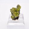 Pyromorphite - Daoping mine, Gongchen, Guilin, Guangxi, China