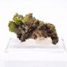 Pyromorphite - Mine Daoping, Gongchen, Guilin, Guangxi, Chine