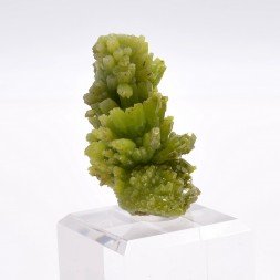 Pyromorphite - Mine Daoping, Gongchen, Guilin, Guangxi, Chine