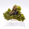 Pyromorphite - Daoping mine, Gongchen, Guilin, Guangxi, China